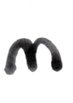 Project Database
